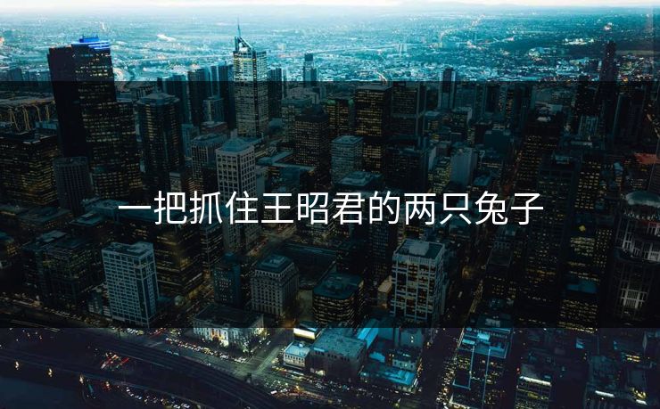 一把抓住王昭君的两只兔子