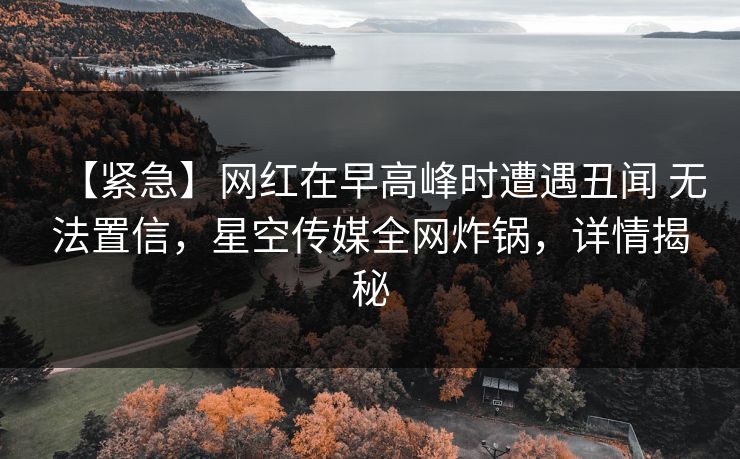 【紧急】网红在早高峰时遭遇丑闻 无法置信,星空传媒全网炸锅,详情揭秘 【紧急】网红在早高峰时遭遇丑闻 无法置信,星空传媒全网炸锅,详情揭秘