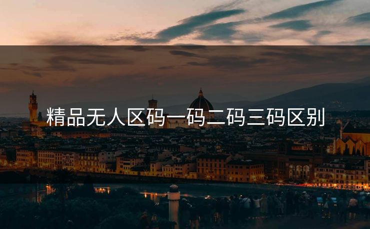 精品无人区码一码二码三码区别