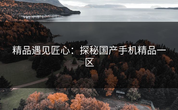 精品遇见匠心：探秘国产手机精品一区