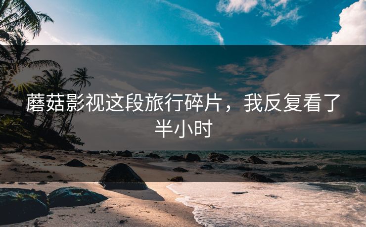 蘑菇影视这段旅行碎片,我反复看了半小时 蘑菇影视这段旅行碎片,我反复看了半小时